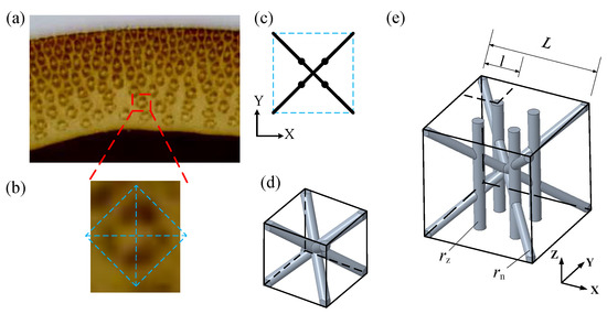 Bionic Design Method of a Non-Uniform Lattice Structure for