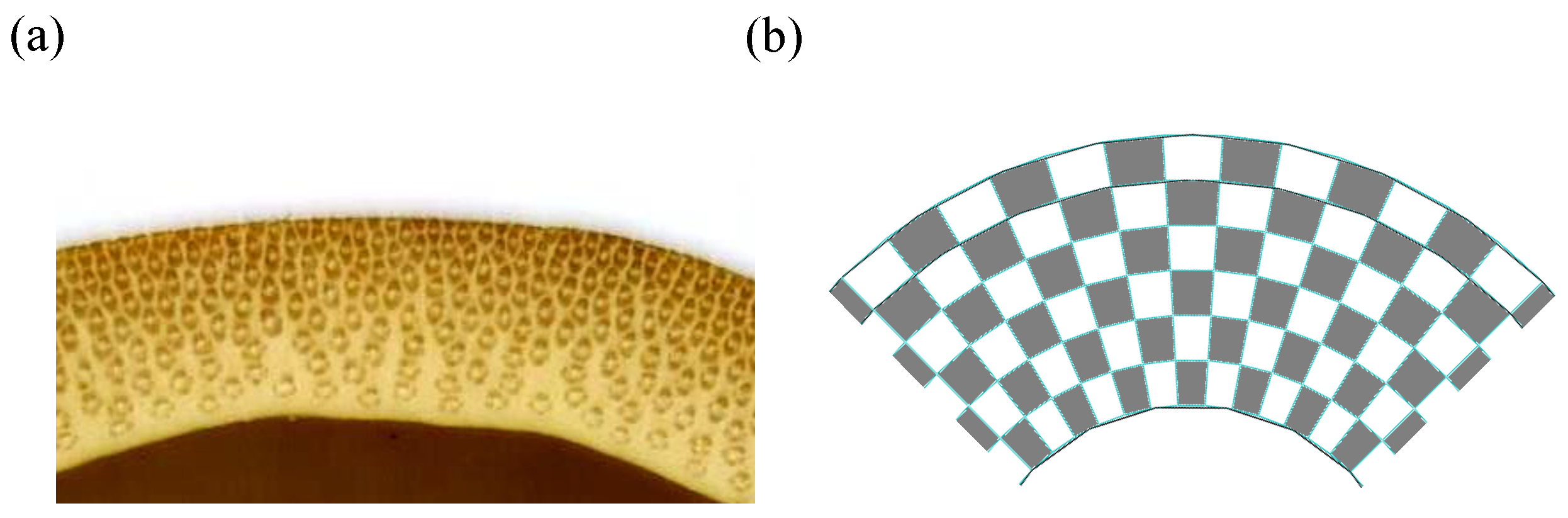 Aerospace 09 00220 g008 550