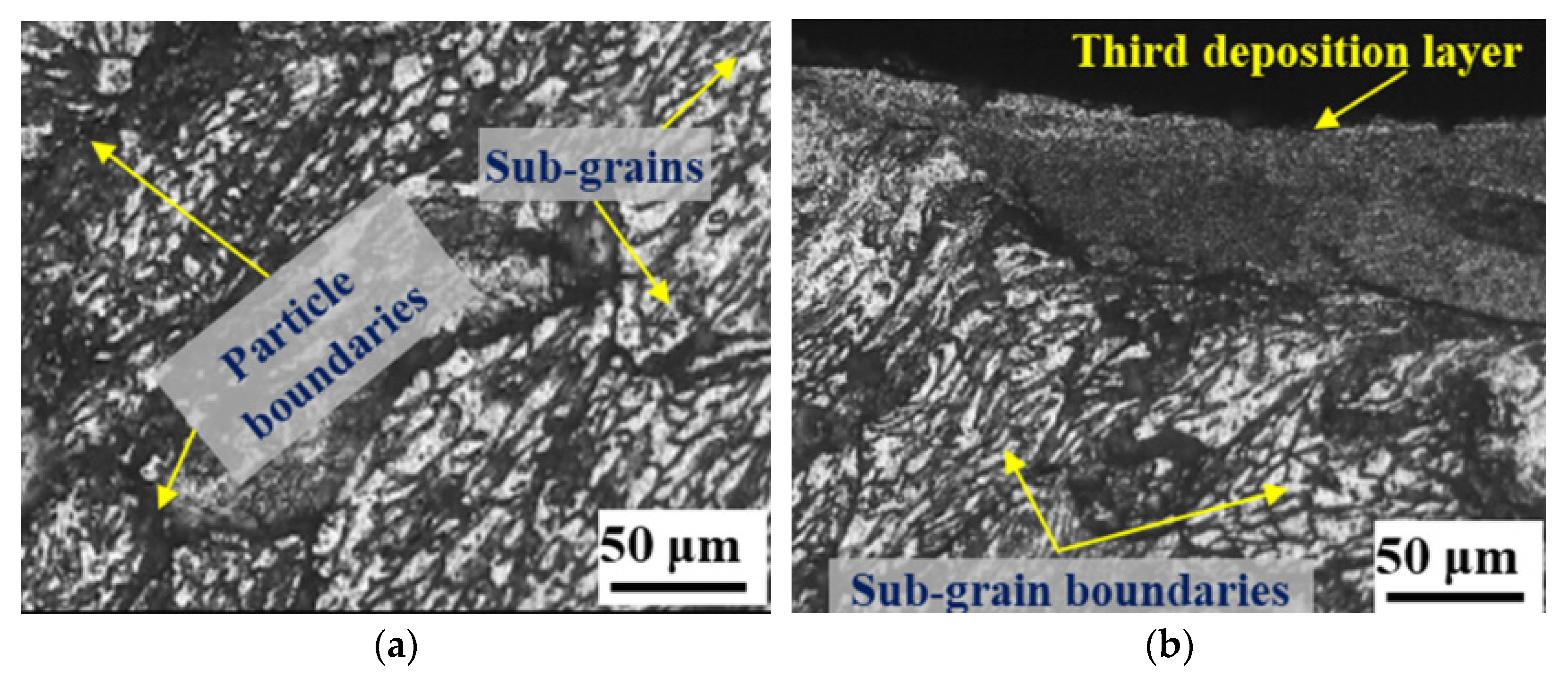 Aerospace 09 00565 g012 550