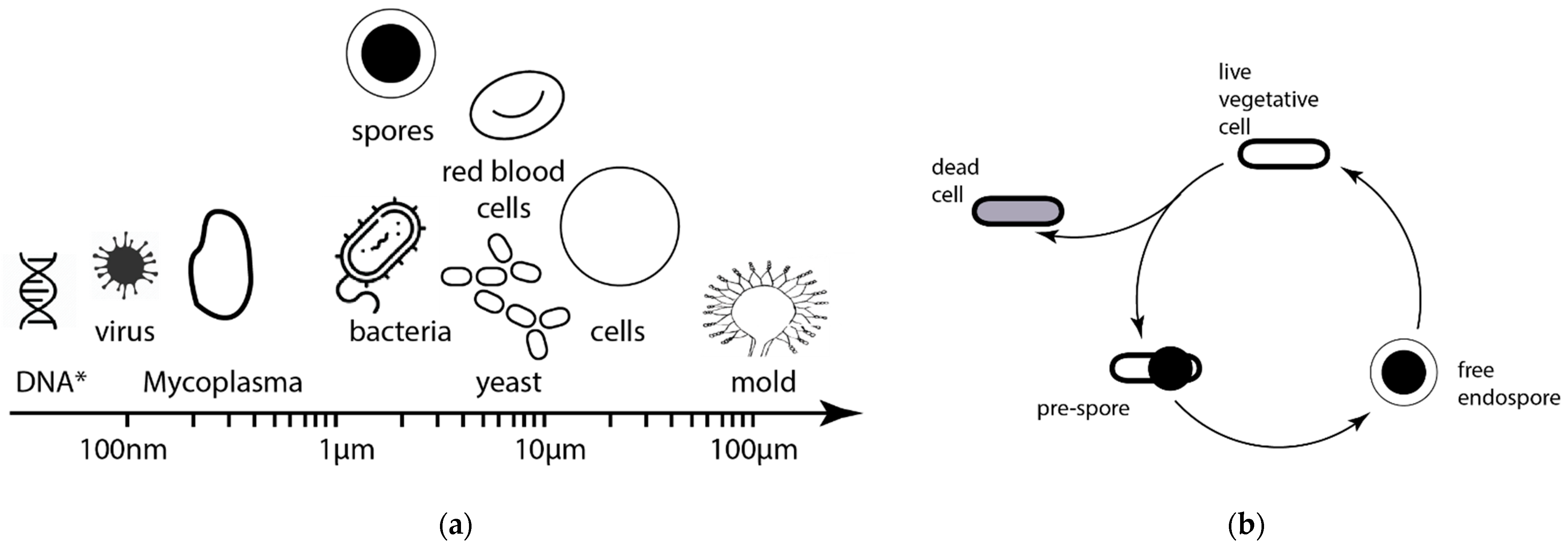 Aerospace 09 00692 g003 Aerospace 09 00692 g003