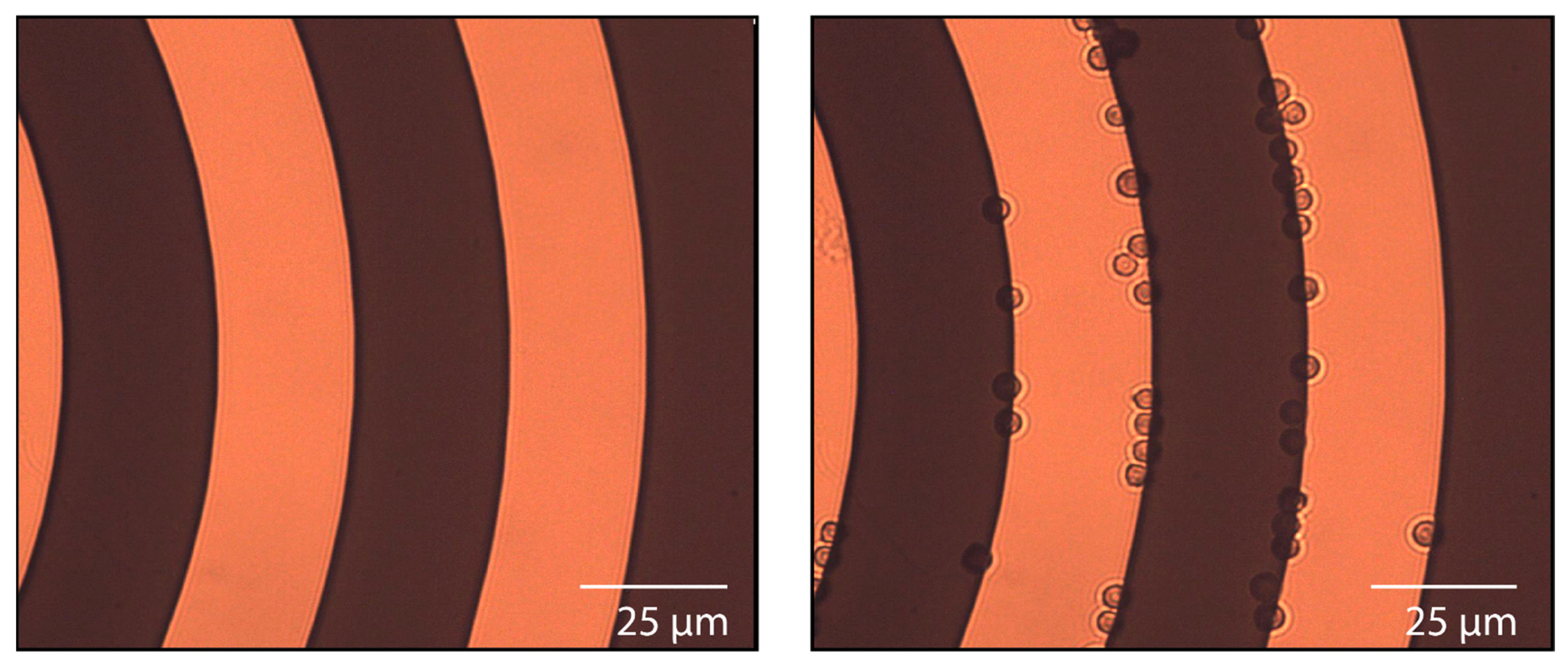 Aerospace 09 00692 g004 Aerospace 09 00692 g004