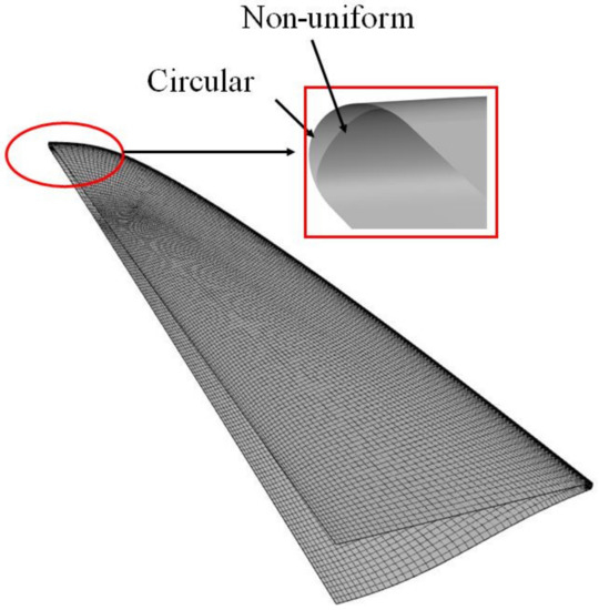 Influence of Non-Uniform Bluntness on Aerodynamic