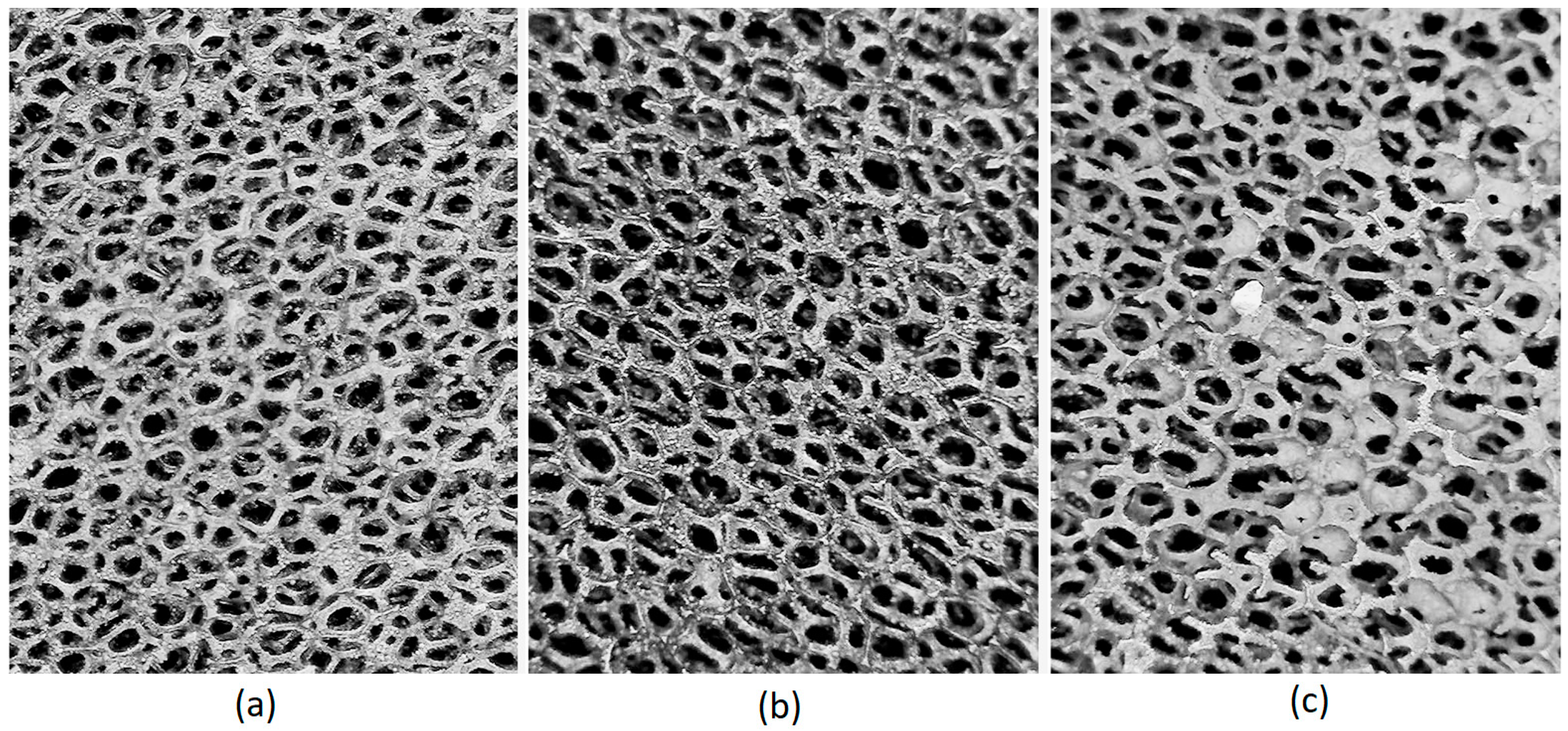 Aerospace 10 00215 g007