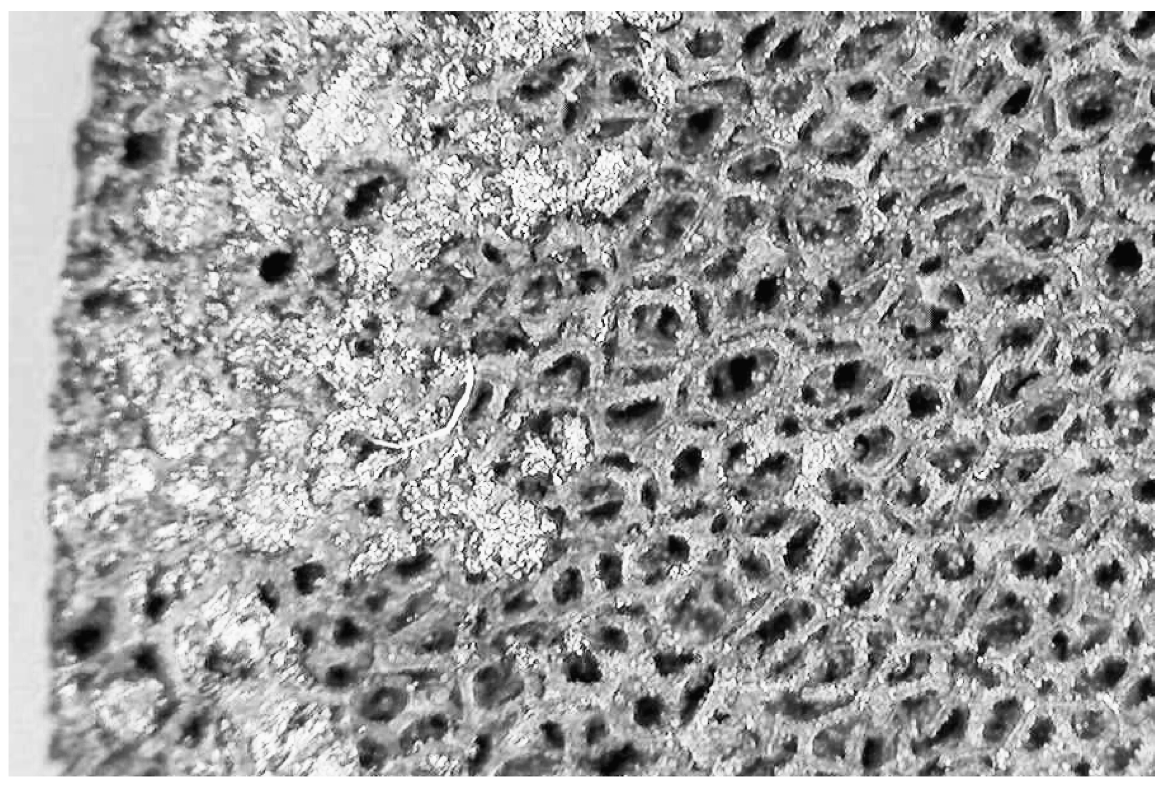 Aerospace 10 00215 g009