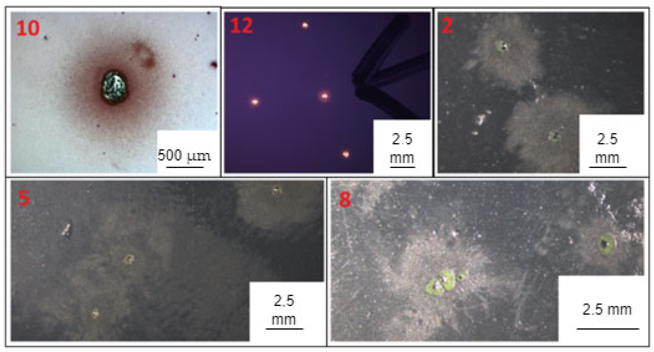 Aerospace 10 00269 g005 550