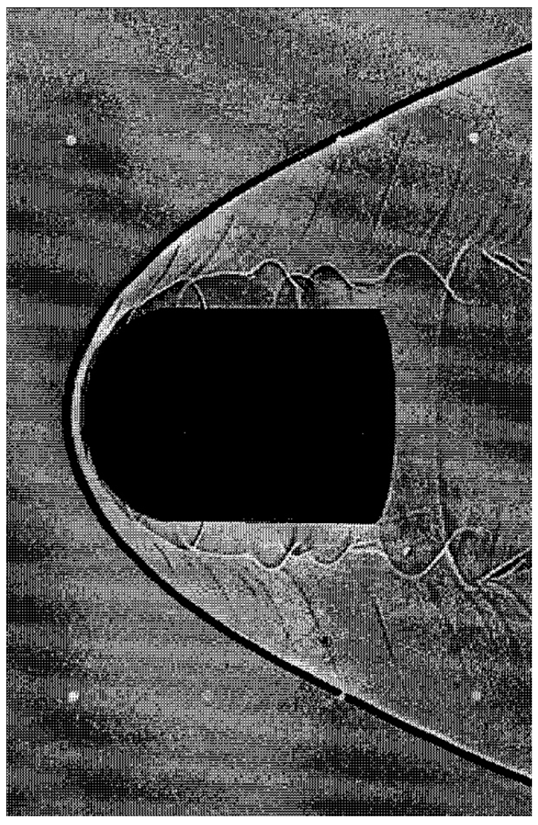 Aerospace 10 00292 g001 Aerospace 10 00292 g001