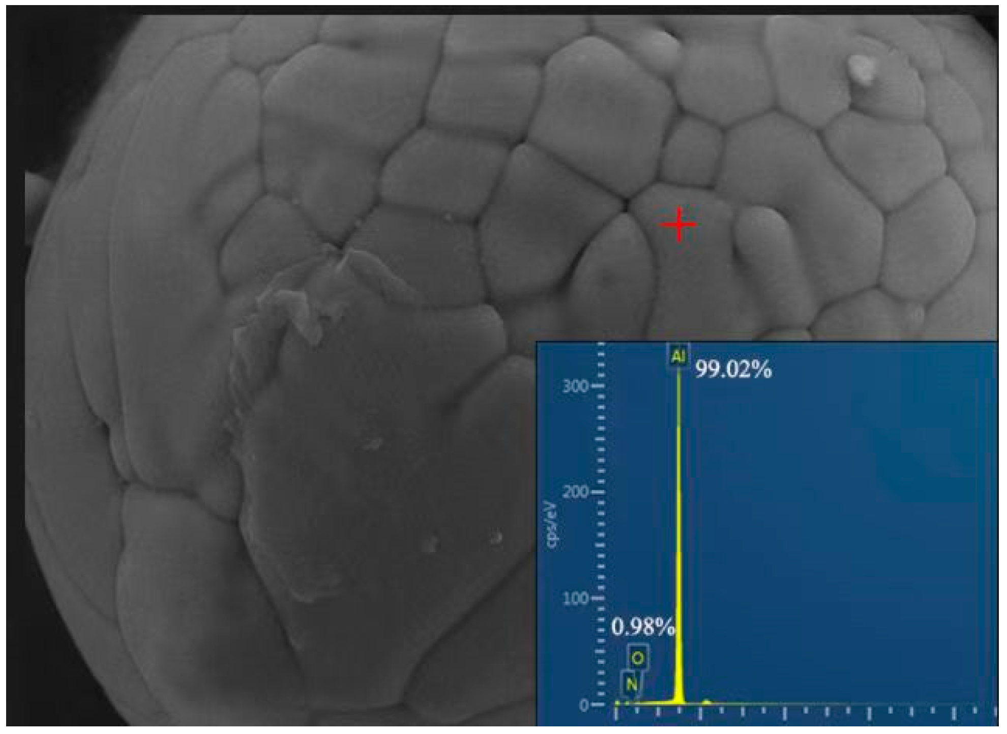 Aerospace 10 00299 g002