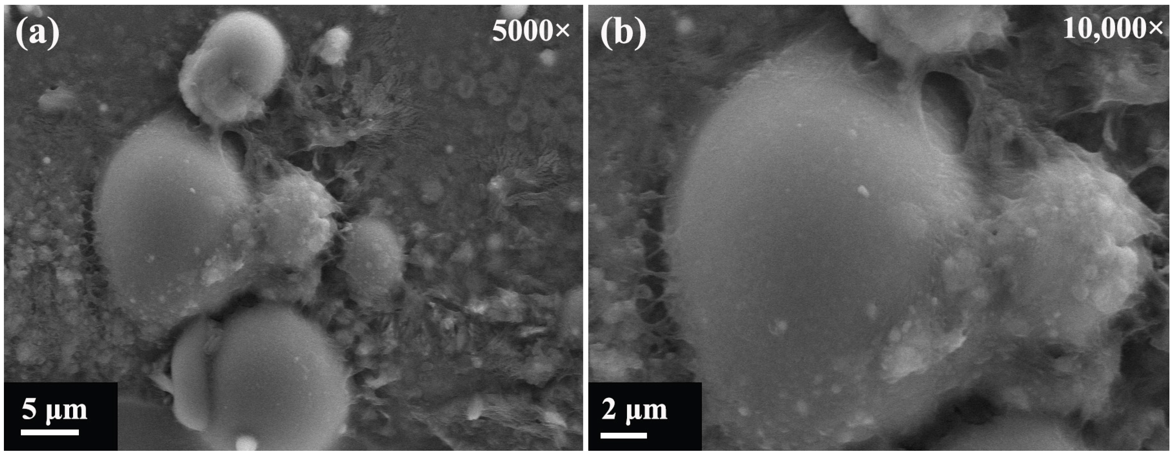 Aerospace 10 00299 g016