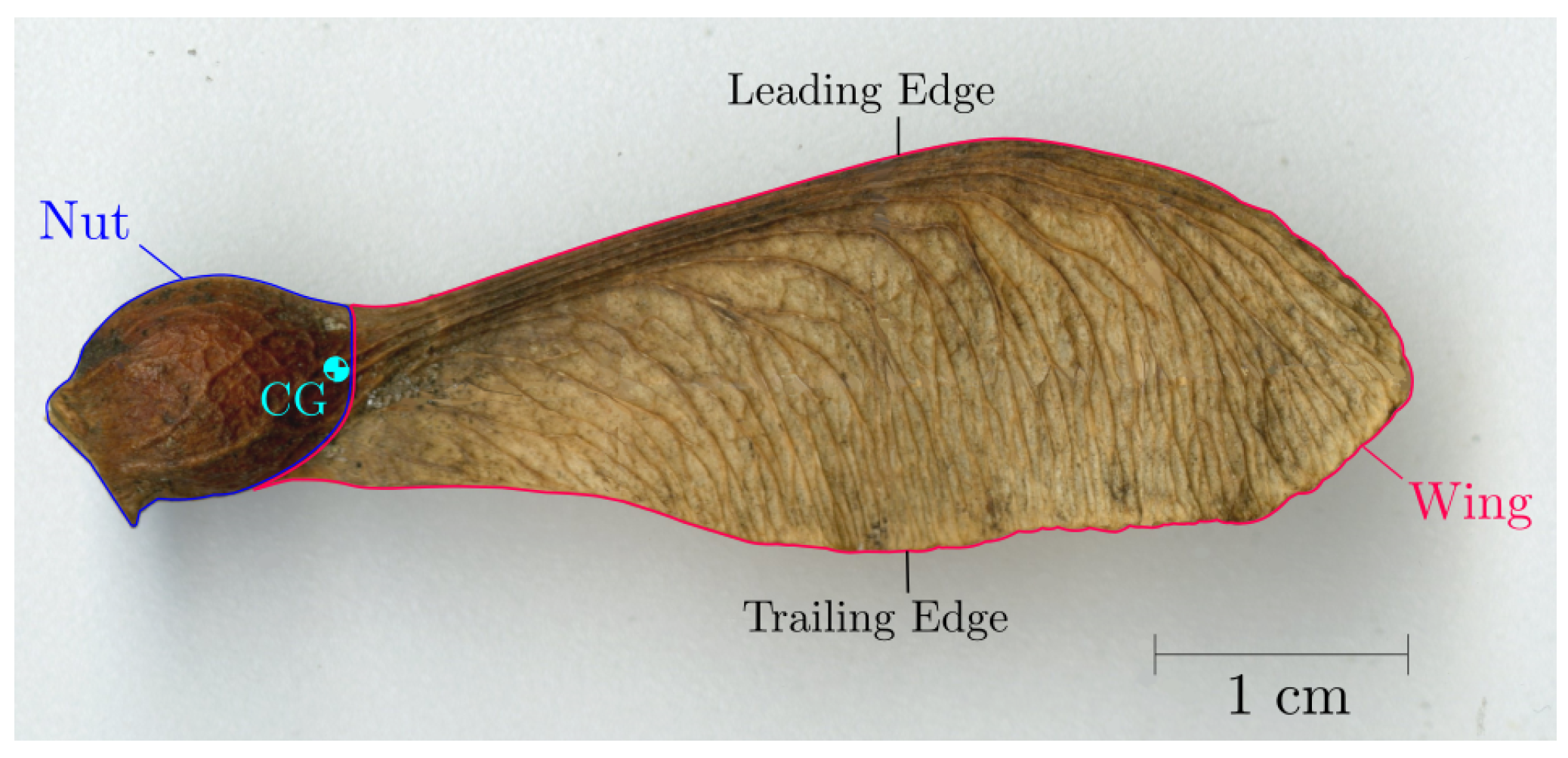 Aerospace 10 00414 g001