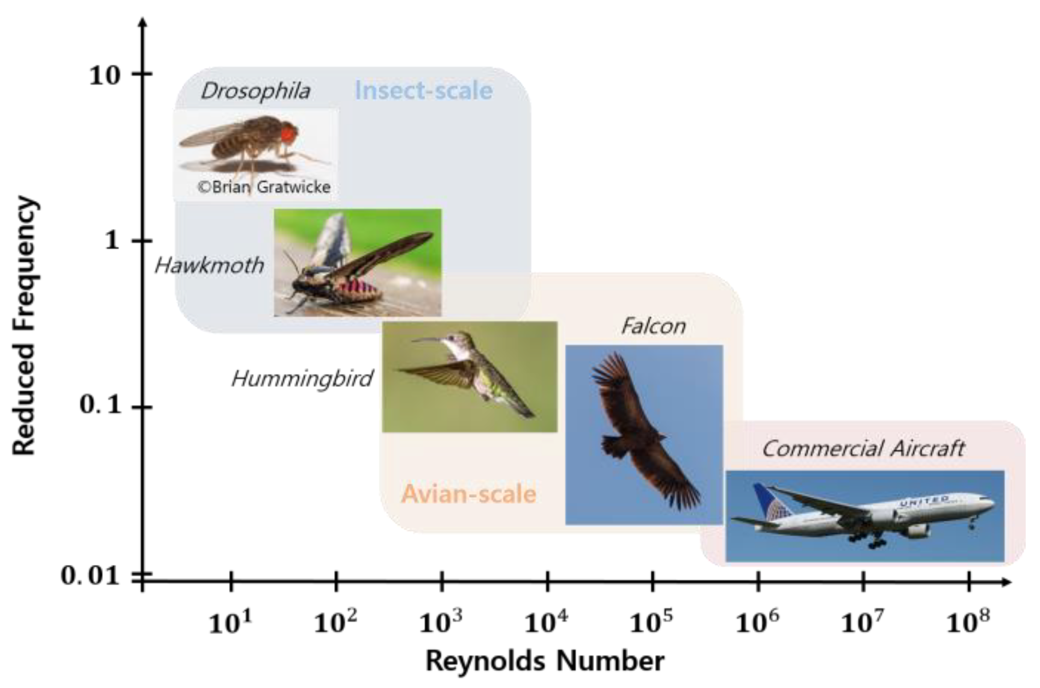Aerospace 10 00554 g001