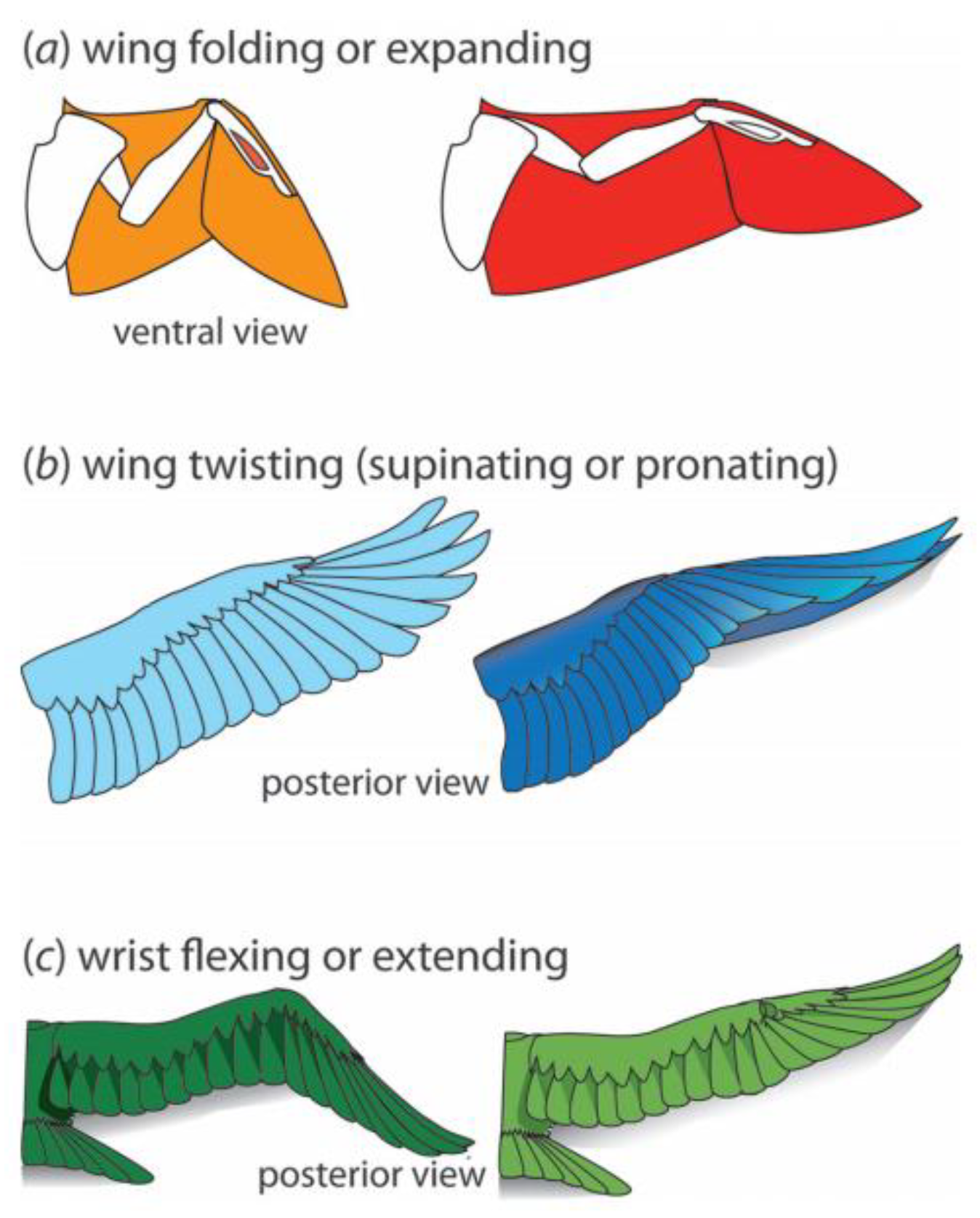 Aerospace 10 00554 g002