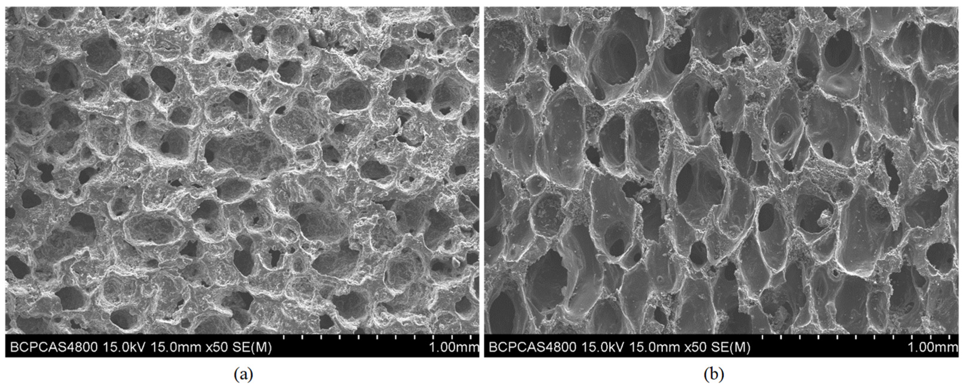 Aerospace 10 00630 g002 550