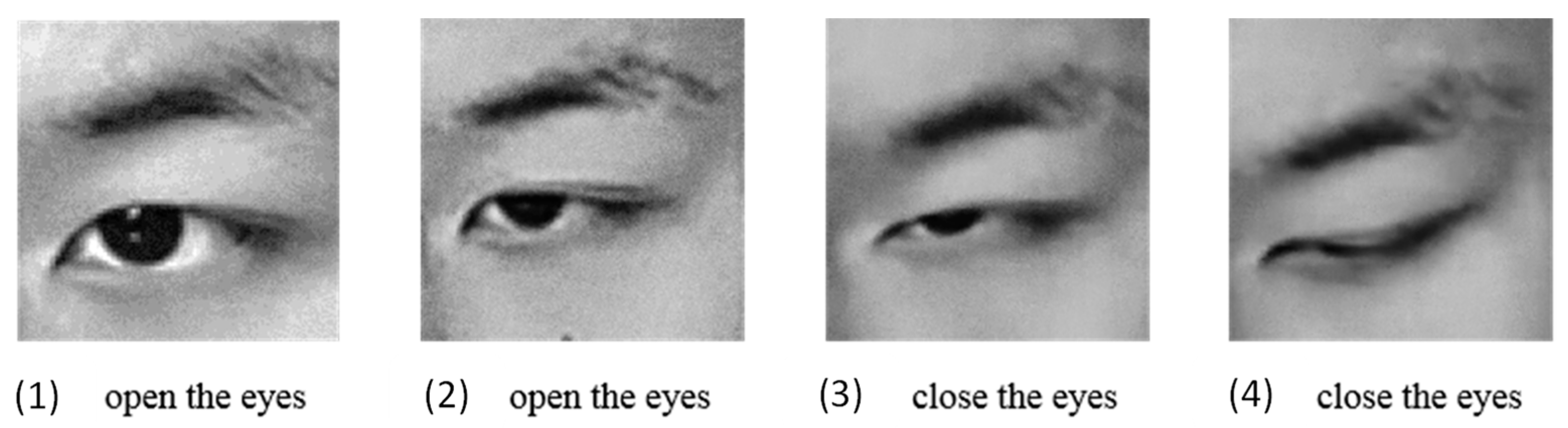 Aerospace 11 00015 g003