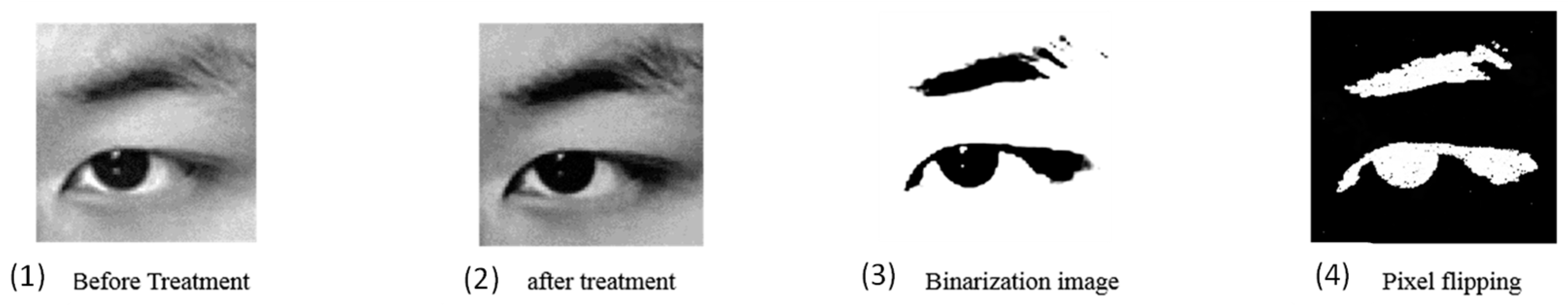 Aerospace 11 00015 g004