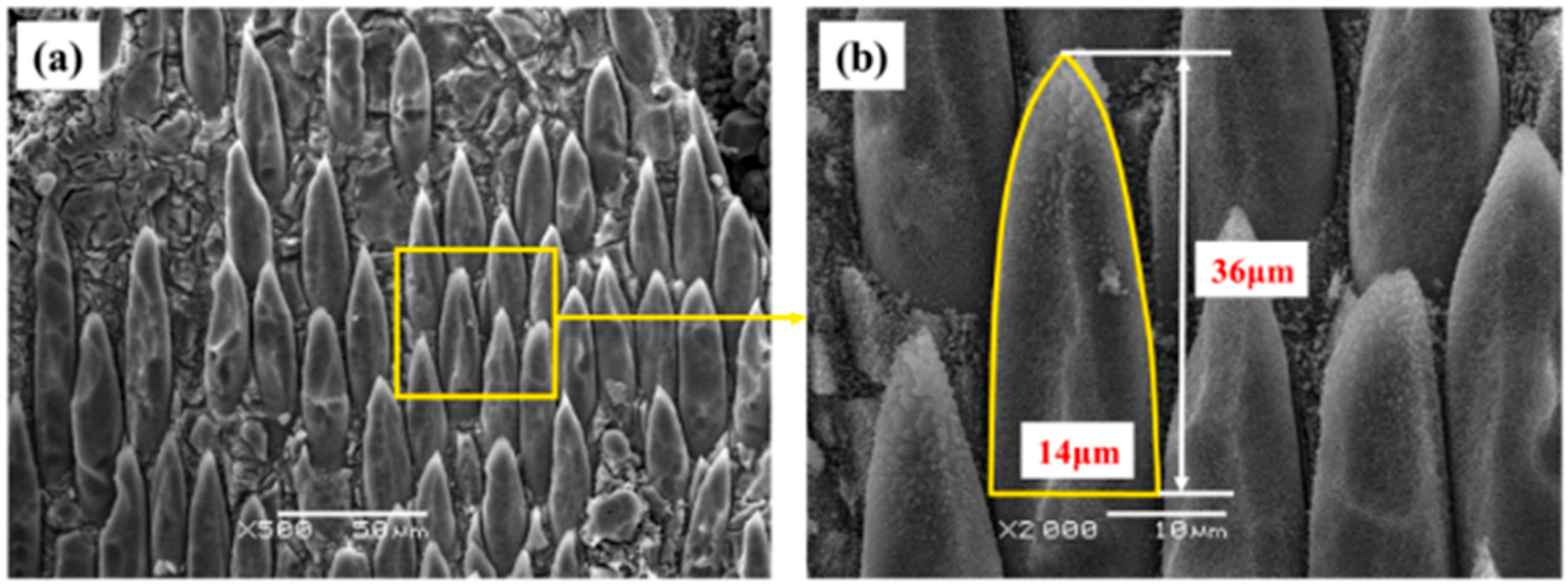 Aerospace 11 00432 g009