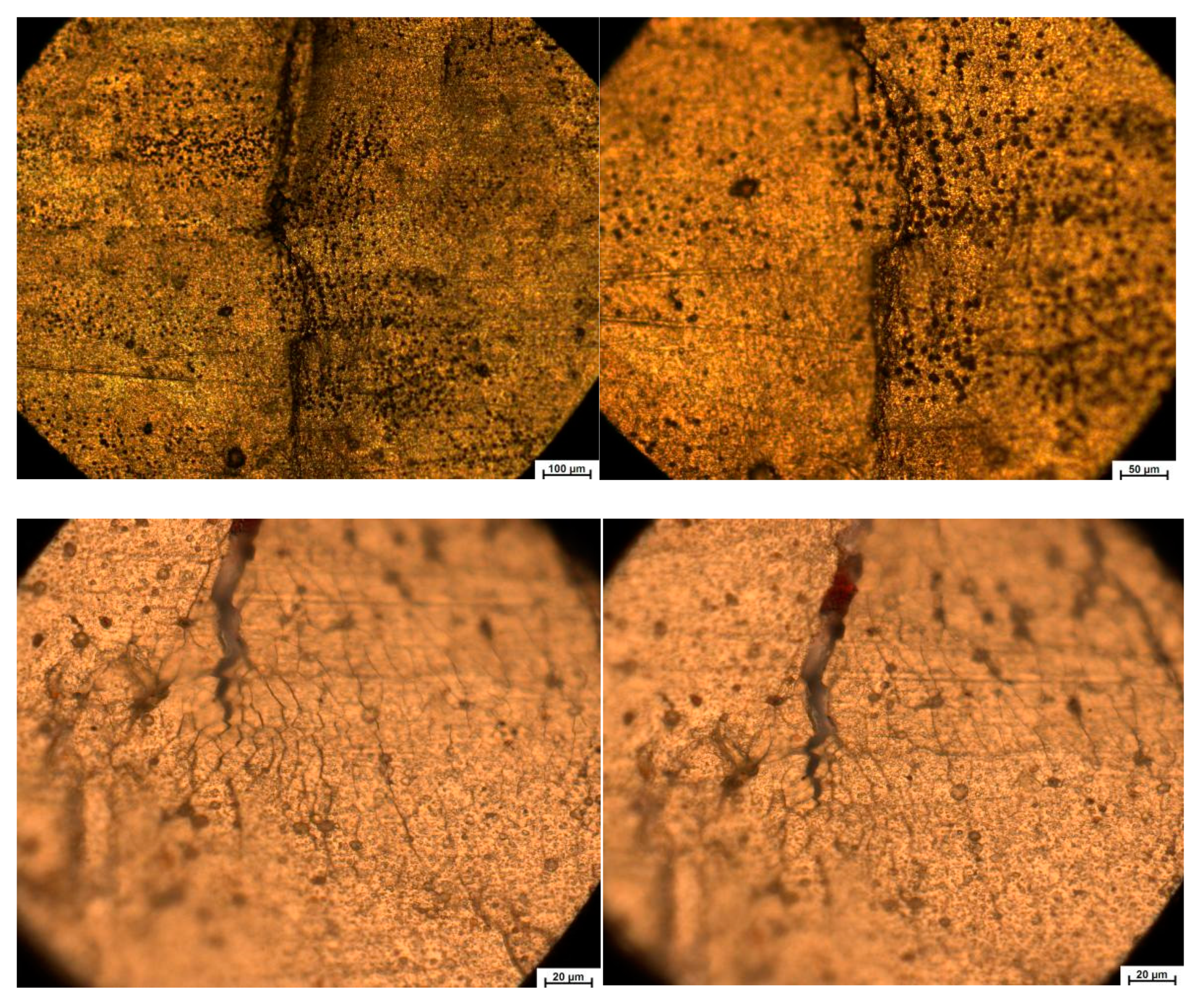 Aerospace 11 00536 g007