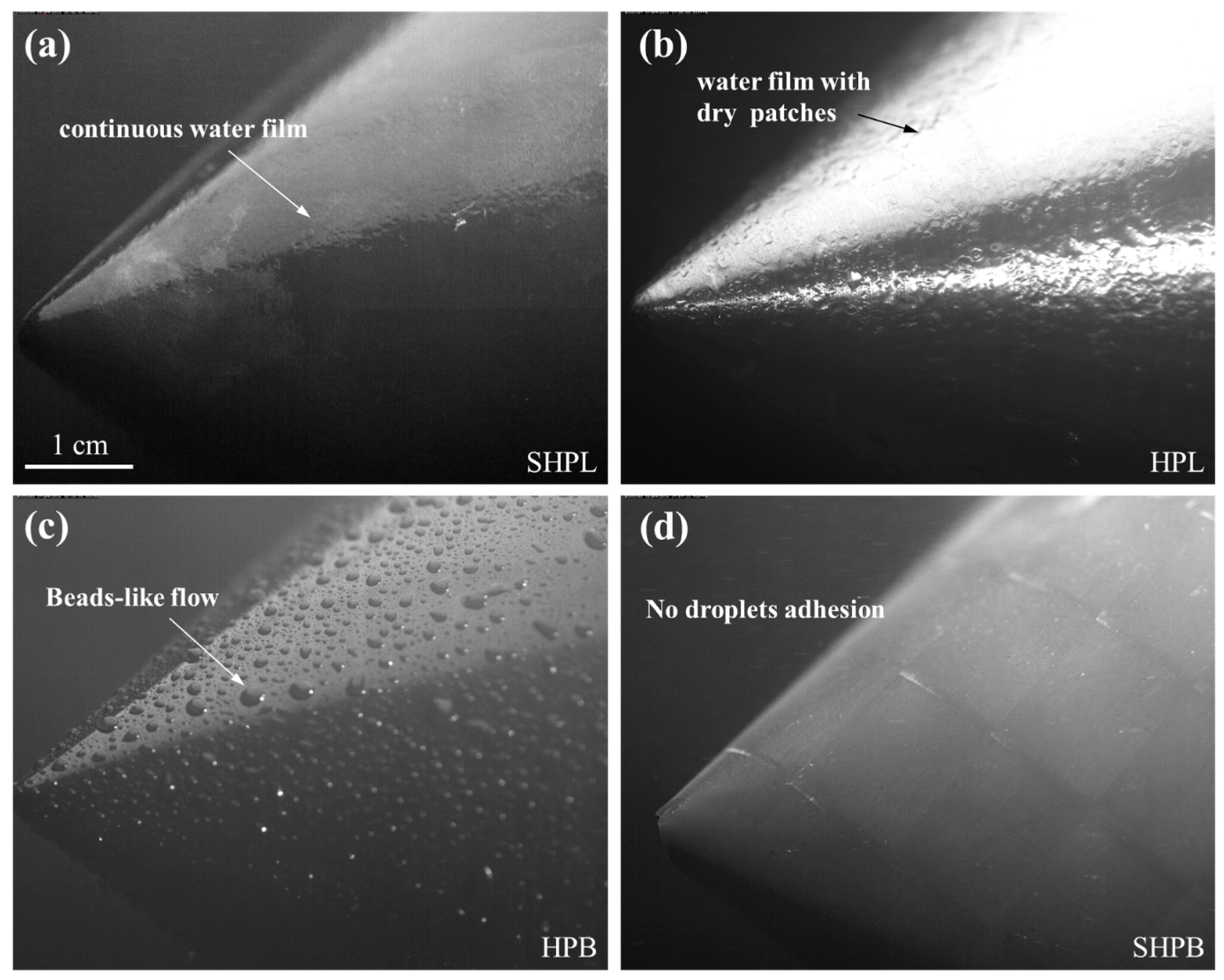 Aerospace 11 00591 g004