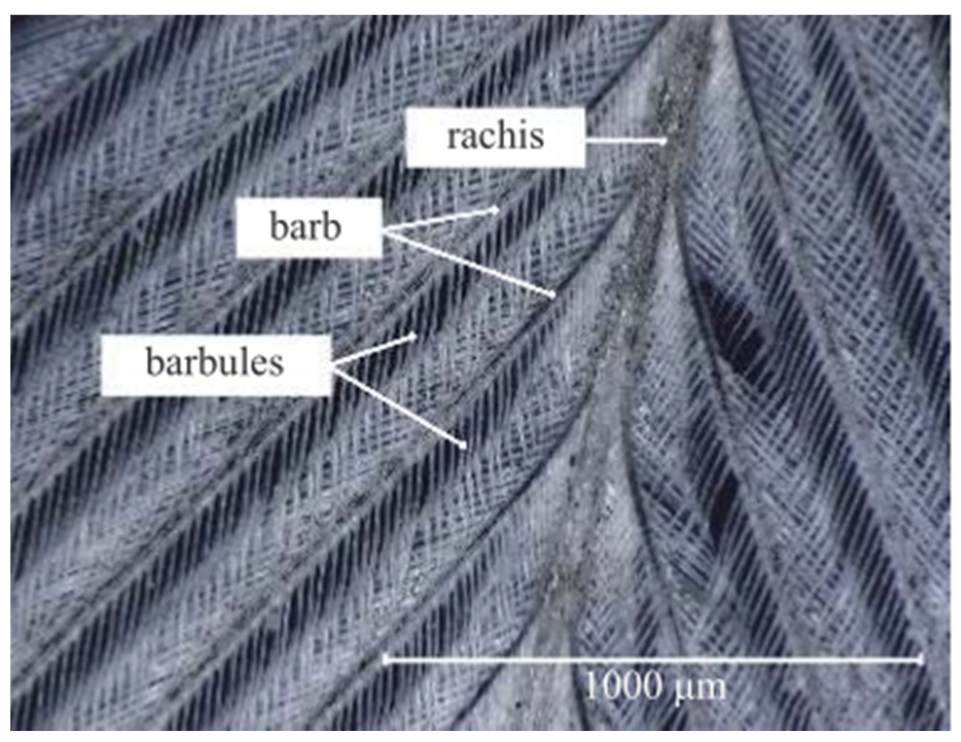 Aerospace 11 00626 g002