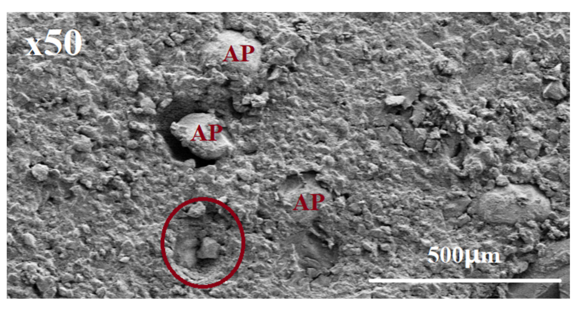 Aerospace 11 00672 g012