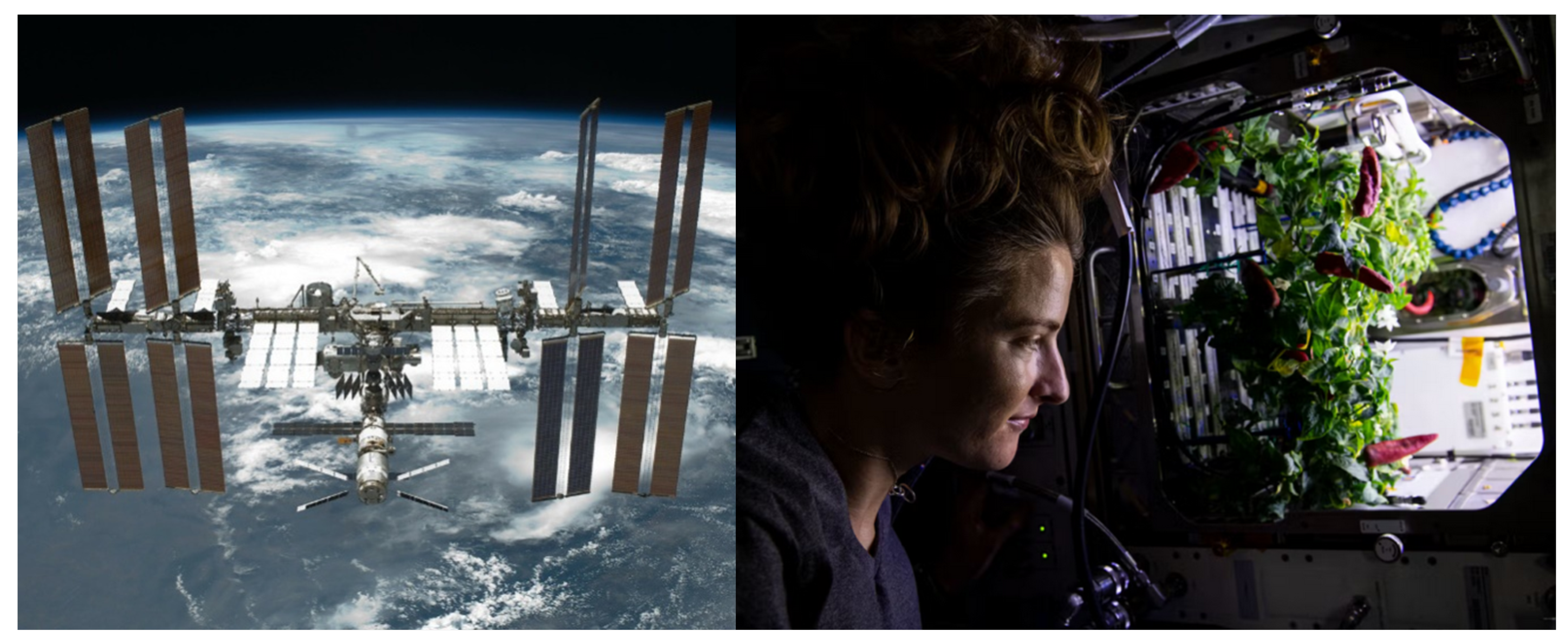 Aerospace 11 00790 g005 Aerospace 11 00790 g005