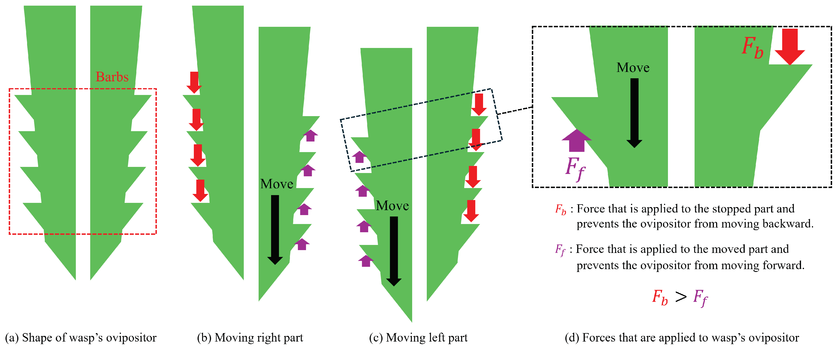 Aerospace 11 00811 g005
