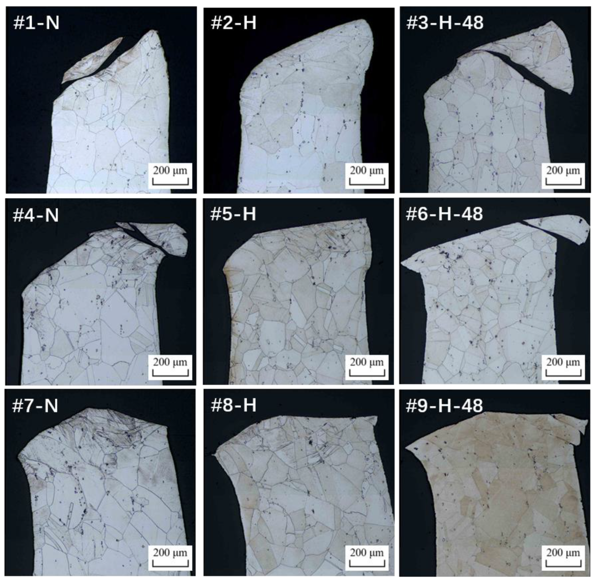 Aerospace 11 00856 g010