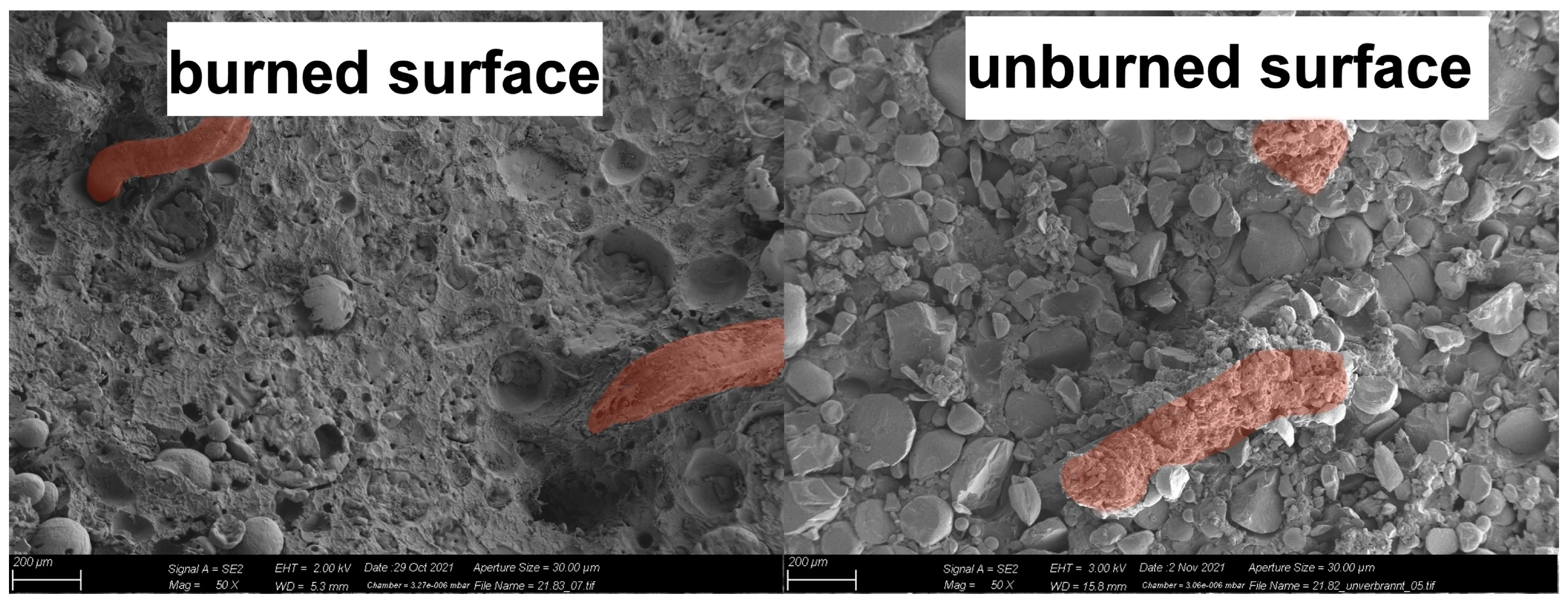 Aerospace 12 00046 g009