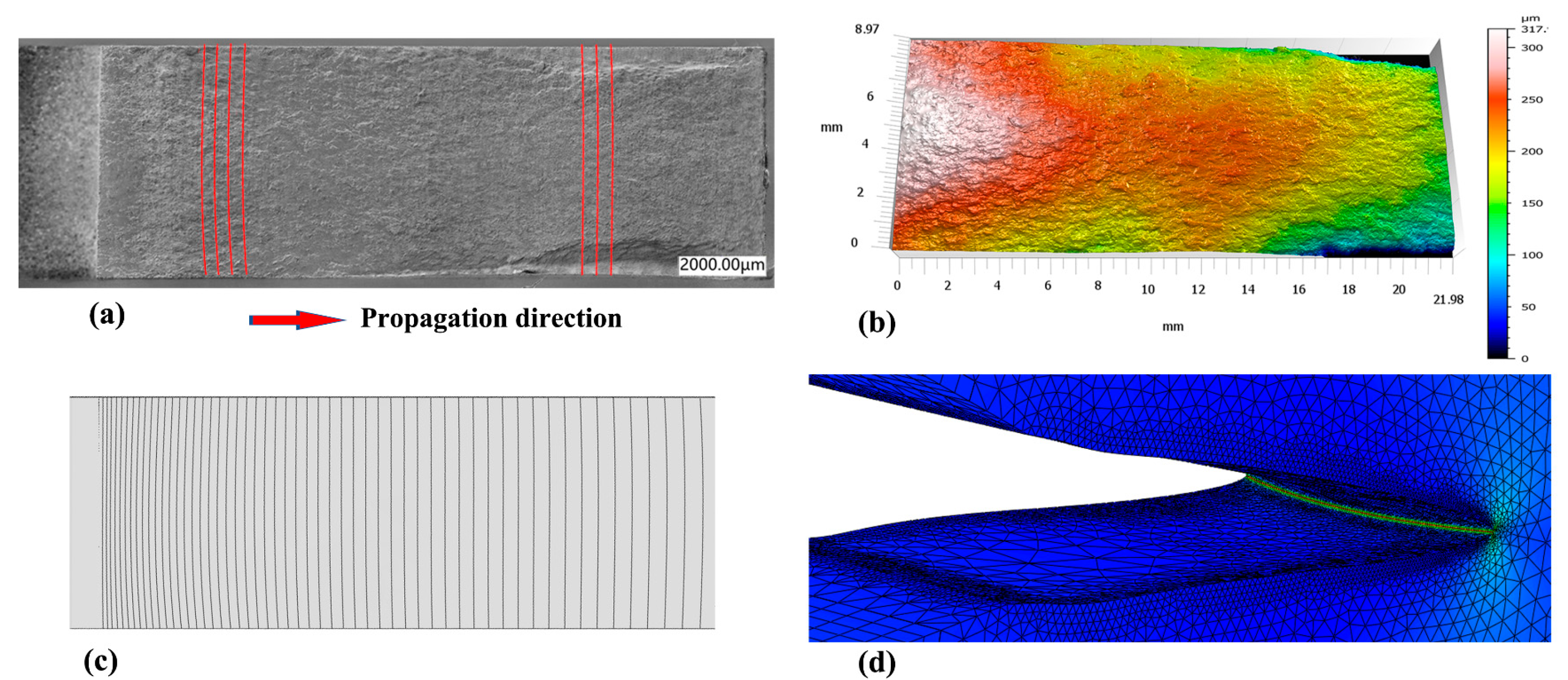 Aerospace 12 00103 g011