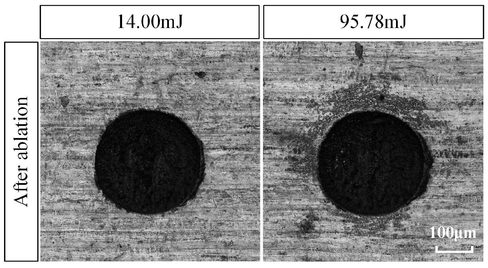 Aerospace 12 00149 g004