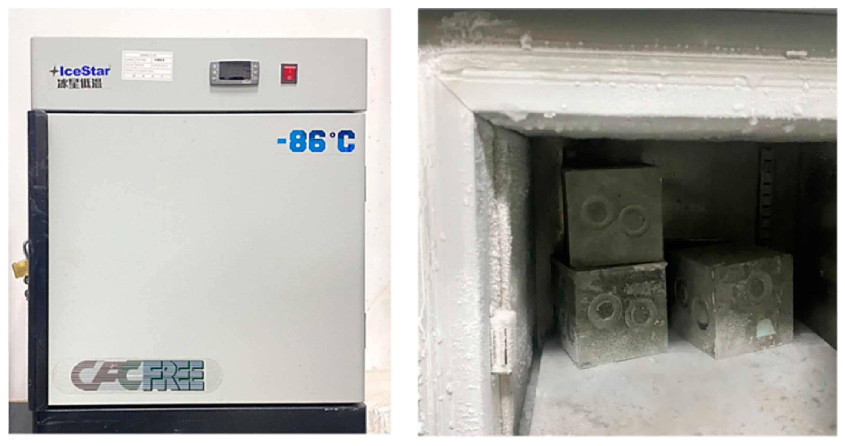 Aerospace 12 00254 g002