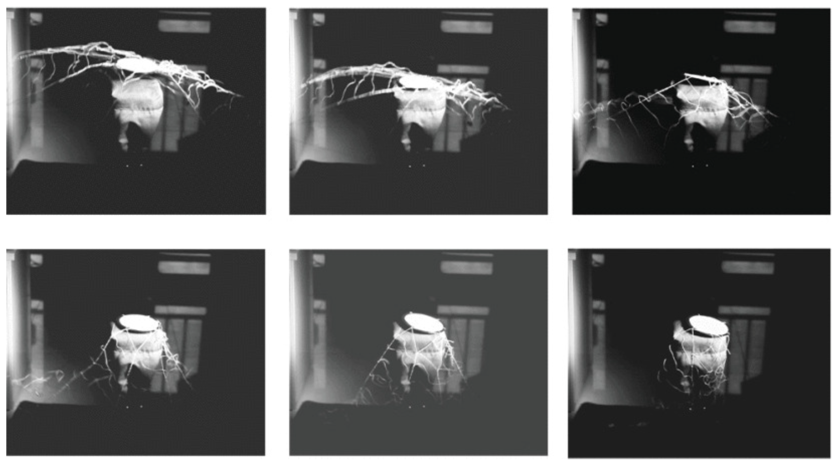 Aerospace 12 00277 g052