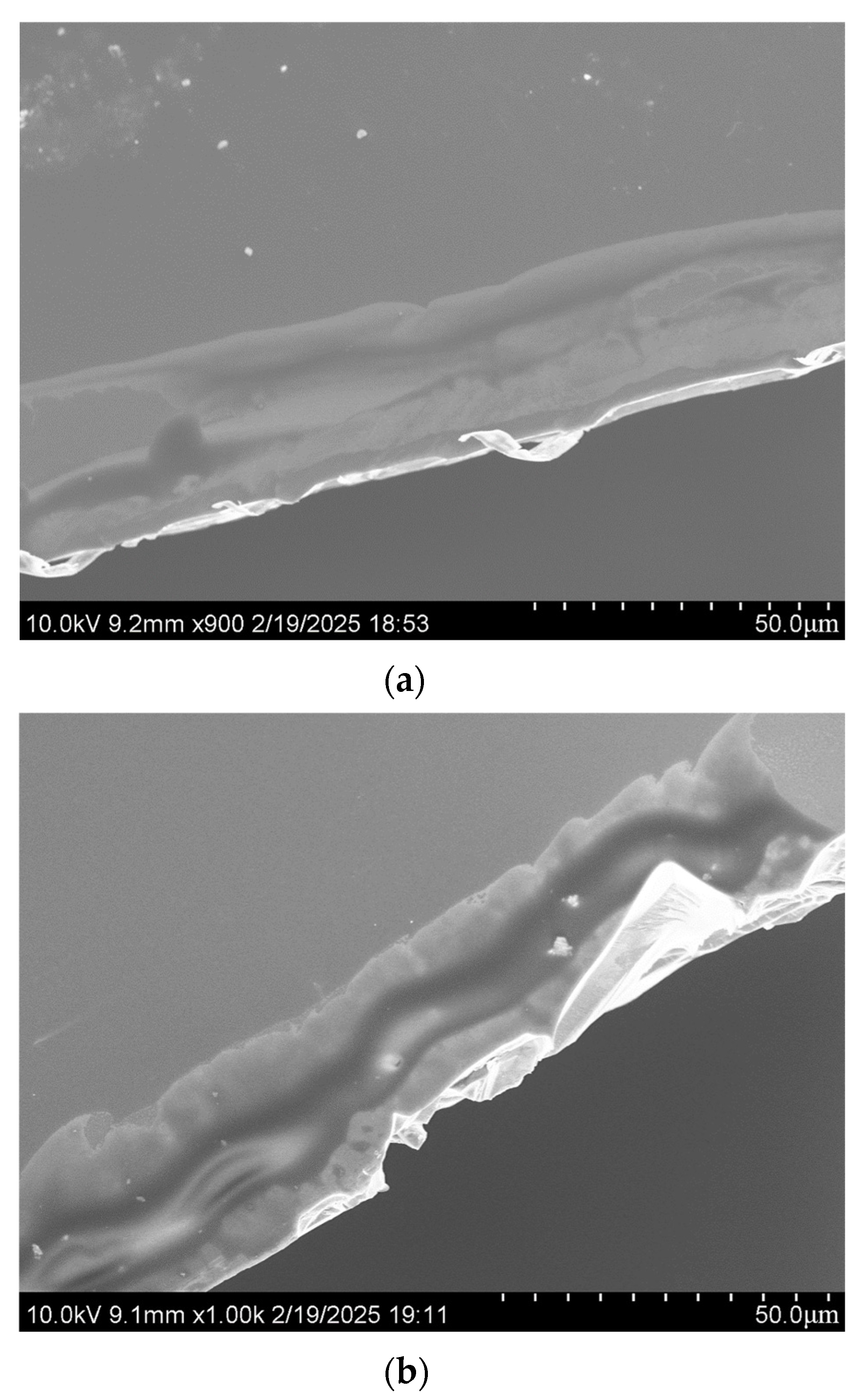 Aerospace 12 00329 g005