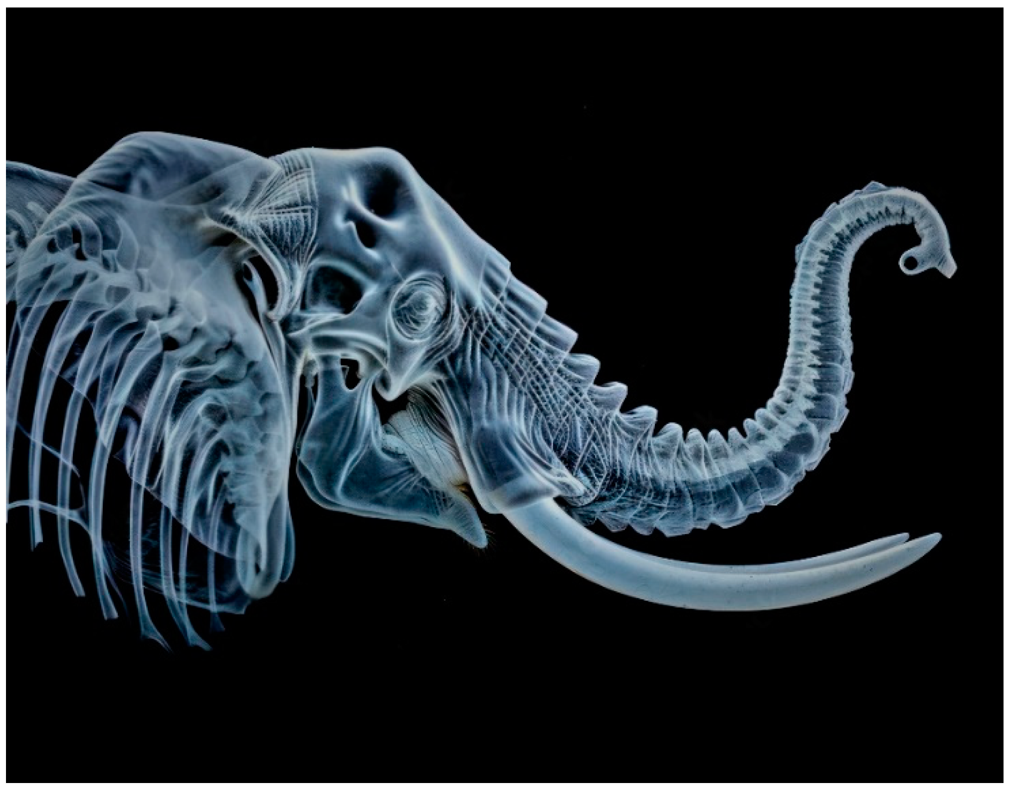 Aerospace 12 00381 g001