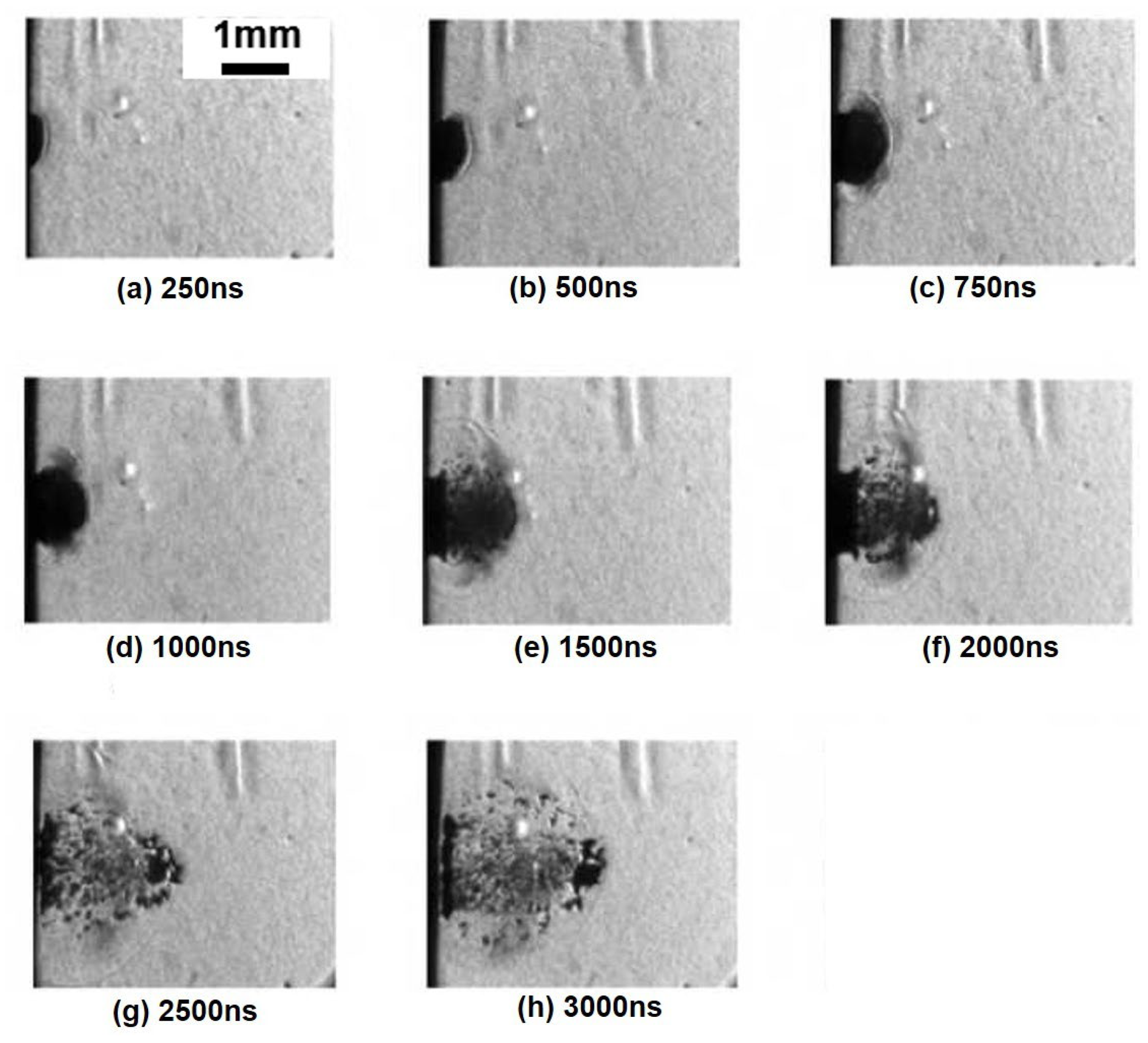 Aerospace 12 00445 g012
