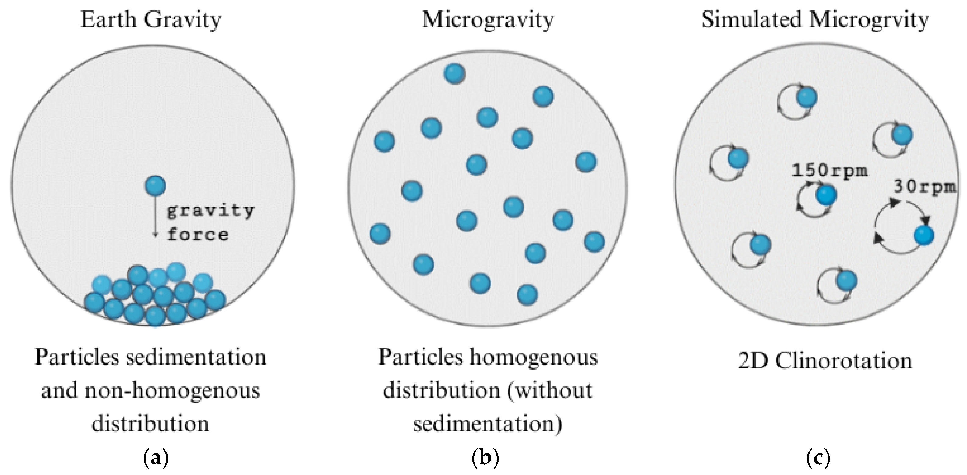 Aerospace 12 00535 g001