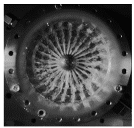 Aerospace 12 00617 i013