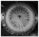 Aerospace 12 00617 i014