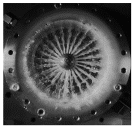 Aerospace 12 00617 i016