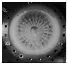 Aerospace 12 00617 i017