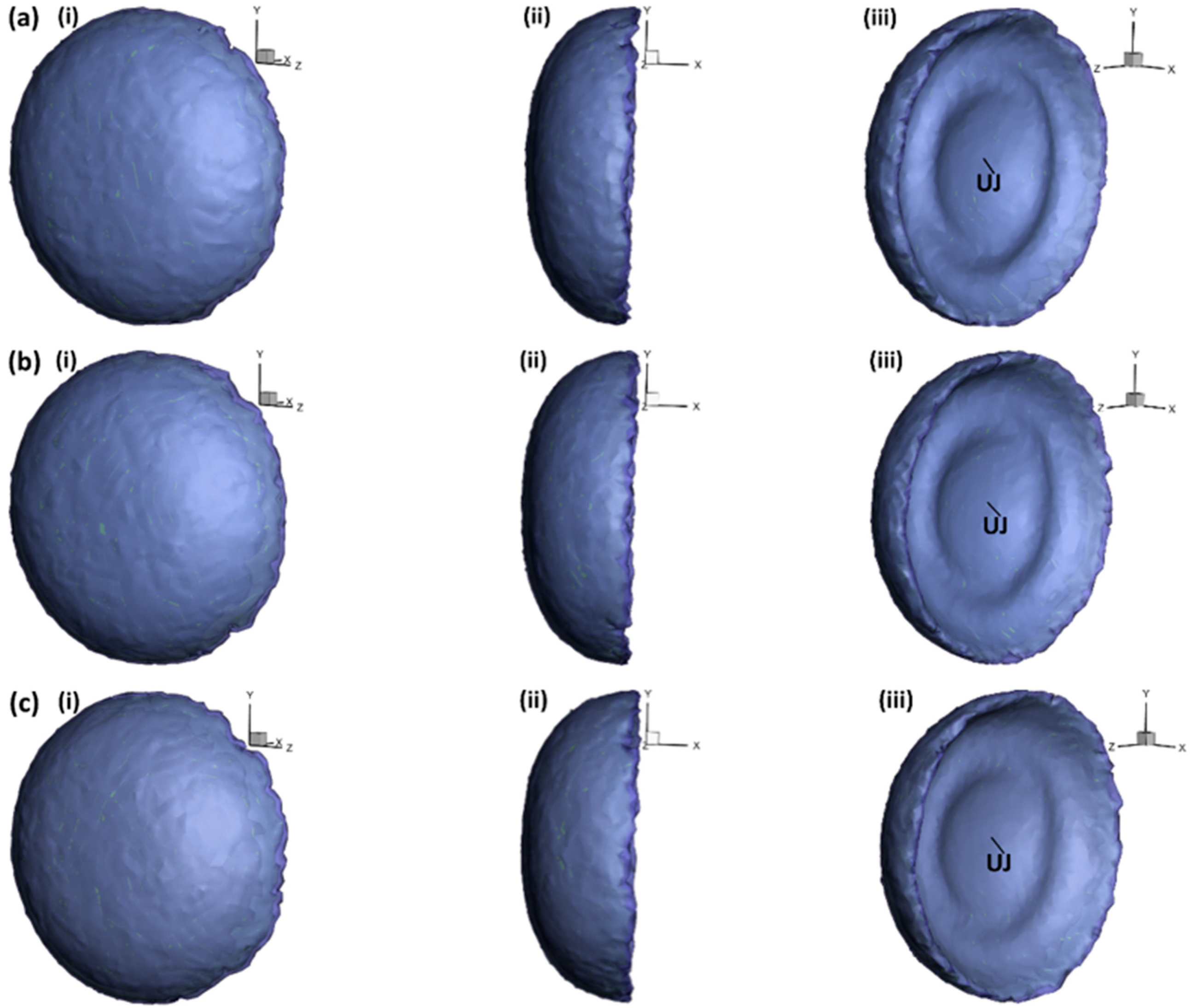 Aerospace 12 00648 g009