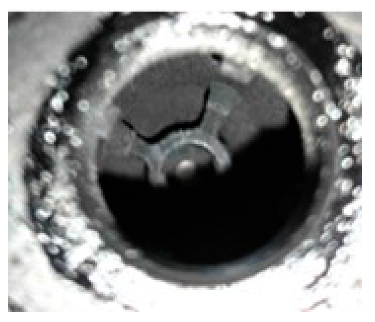 Aerospace 12 00663 g010