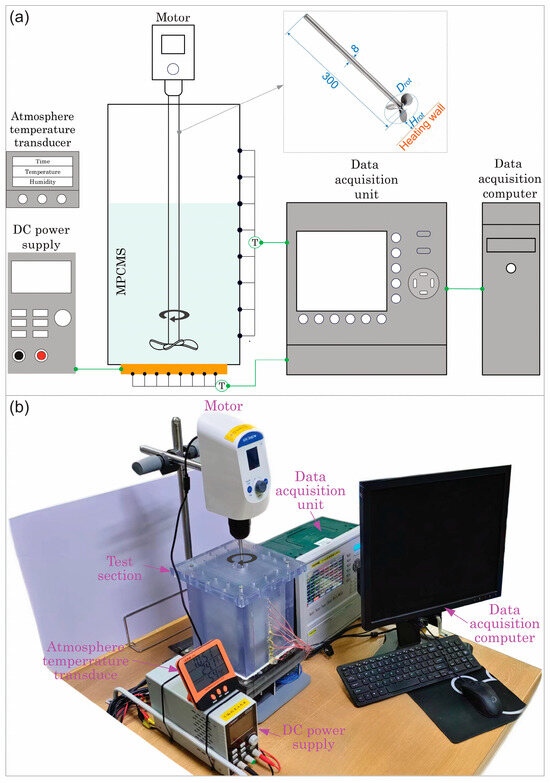カプセル EBV-Positive Lymphoproliferations of B- T- and NK-Cell