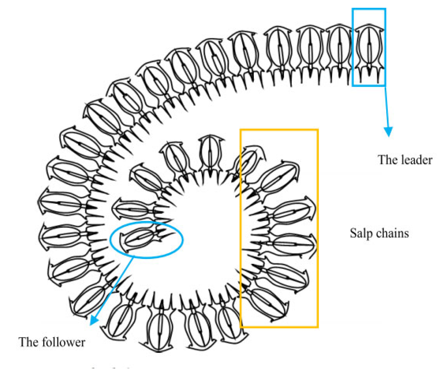 Aerospace 13 00043 g004 Aerospace 13 00043 g004