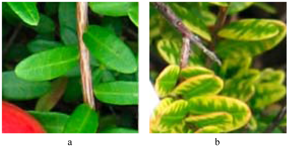 Agriculture 02 00125 g001