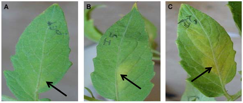 Agriculture 02 00154 g002 1024