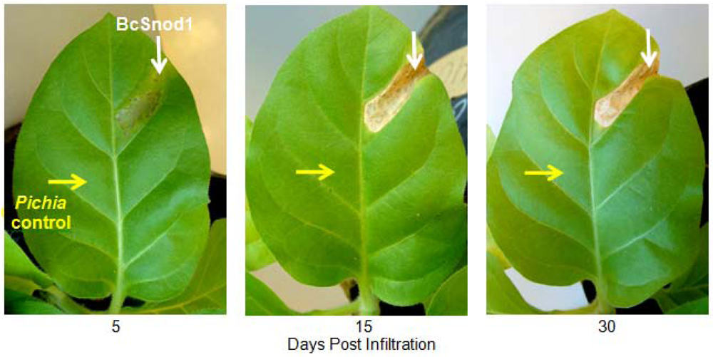 Agriculture 02 00154 g005 1024