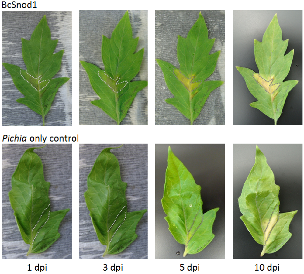Agriculture 02 00154 g006 1024