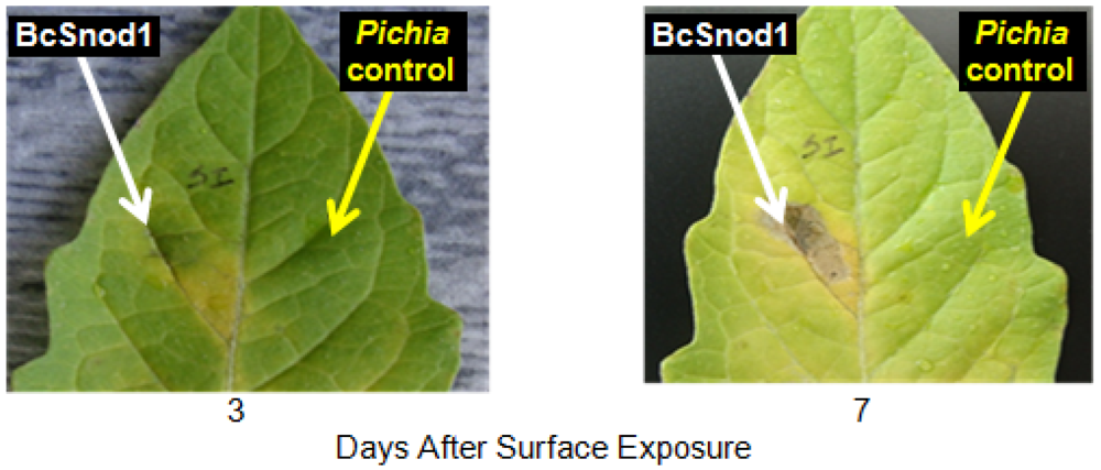 Agriculture 02 00154 g007 1024