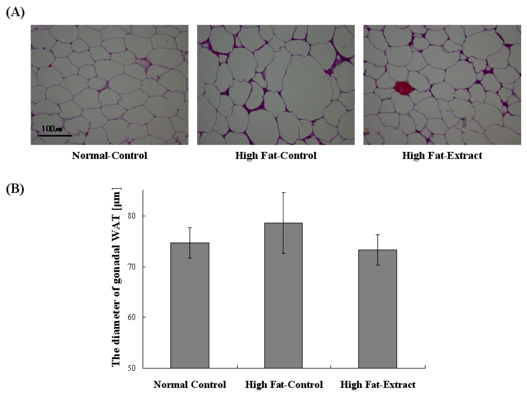 Agriculture 02 00204 g002