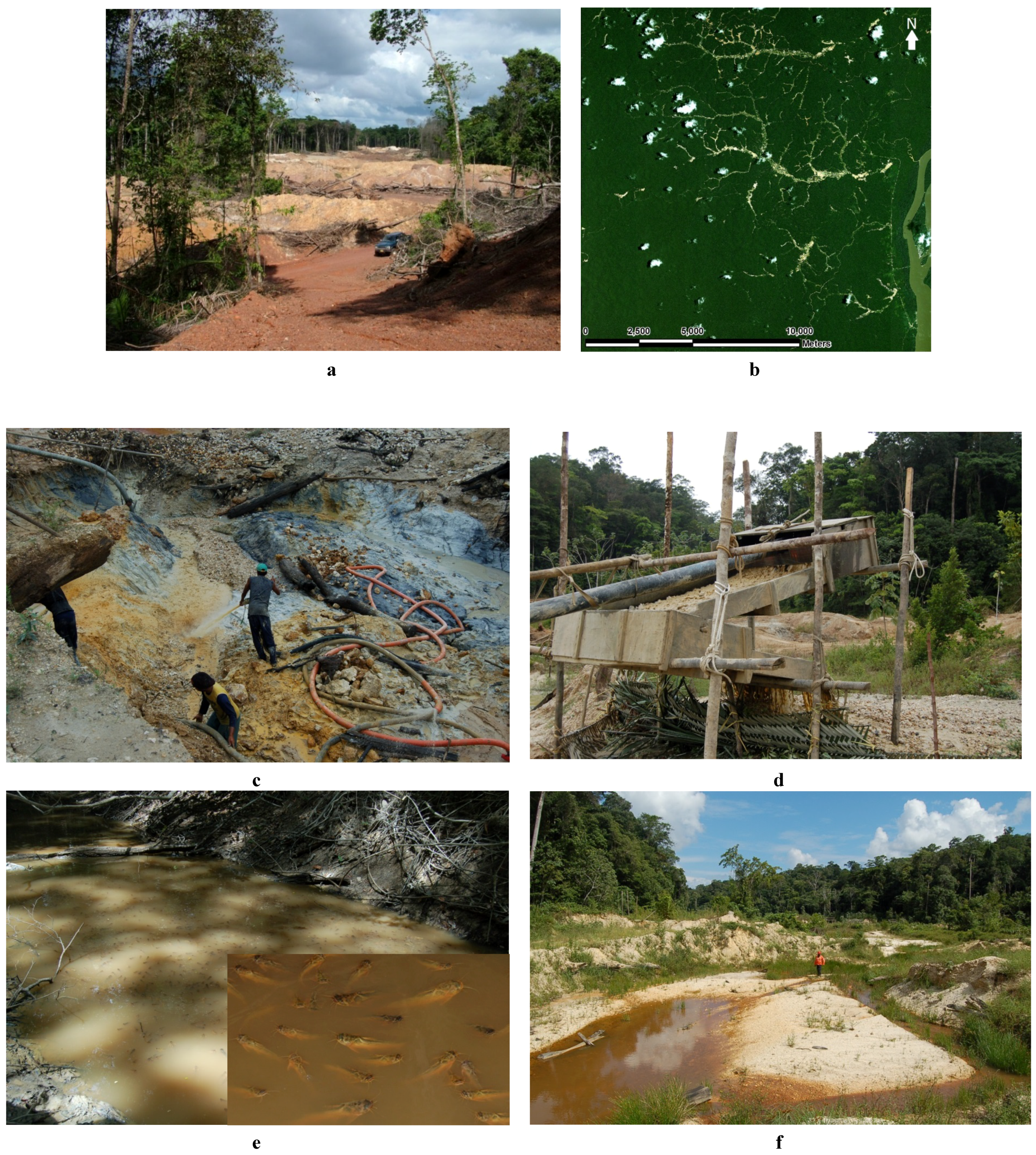 Agriculture 03 00660 g003
